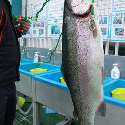 としまえんフィッシングエリア 釣果