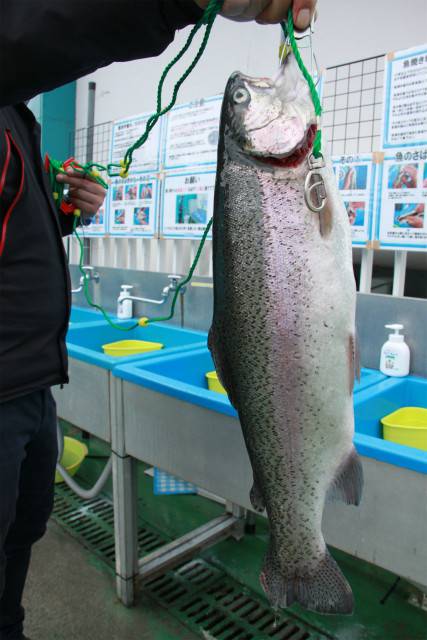 としまえんフィッシングエリア 釣果