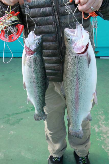 としまえんフィッシングエリア 釣果