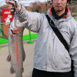 としまえんフィッシングエリア 釣果