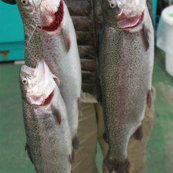 としまえんフィッシングエリア 釣果