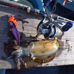 渡船屋たにぐち 釣果