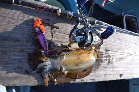 渡船屋たにぐち 釣果