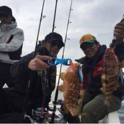「LaGooN」蒼陽丸 日和号 釣果