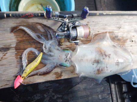 渡船屋たにぐち 釣果