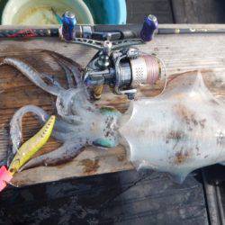 渡船屋たにぐち 釣果