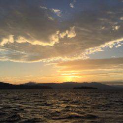 第二 海洋丸 釣果