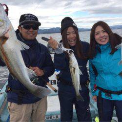 アマテラス 釣果