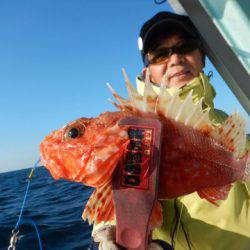 渡船屋たにぐち 釣果