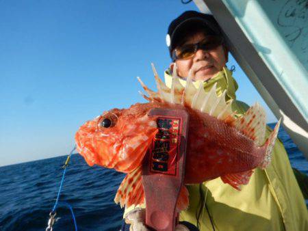 渡船屋たにぐち 釣果