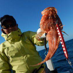渡船屋たにぐち 釣果