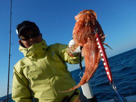 渡船屋たにぐち 釣果