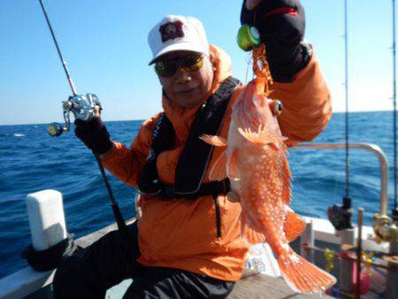 渡船屋たにぐち 釣果