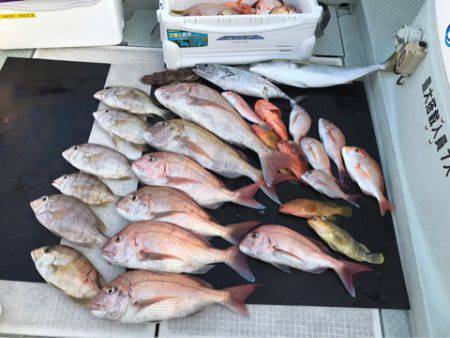 さくら丸 釣果