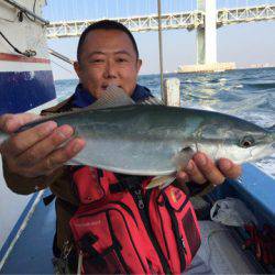 ヤザワ渡船 釣果