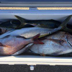 第二八坂丸 釣果