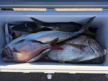 第二八坂丸 釣果