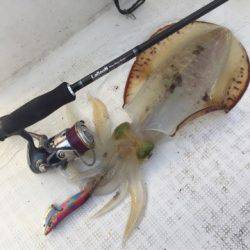 「LaGooN」蒼陽丸 日和号 釣果