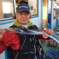 ヤザワ渡船 釣果