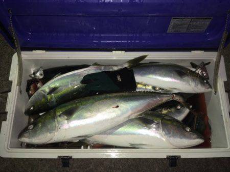 第二八坂丸 釣果