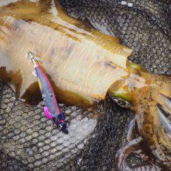 まるいち丸 ZERO-1 釣果