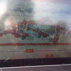 アマテラス 釣果