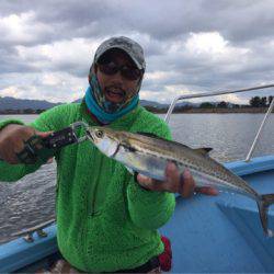 アマテラス 釣果