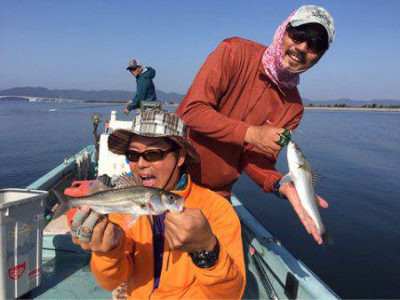 アマテラス 釣果
