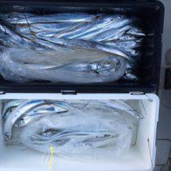 SeaRide(シーライド) 釣果