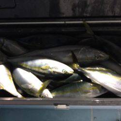 第二八坂丸 釣果