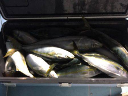 第二八坂丸 釣果