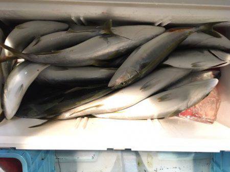 第二八坂丸 釣果