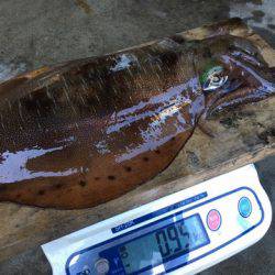 まるいち丸 ZERO-1 釣果