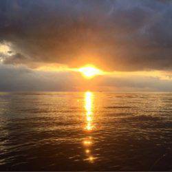 第二 海洋丸 釣果