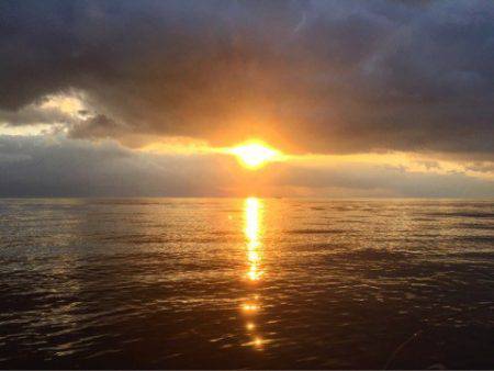 第二 海洋丸 釣果