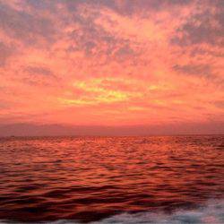 第二 海洋丸 釣果