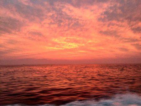 第二 海洋丸 釣果