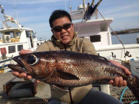 晃山丸 釣果