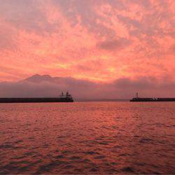 龍神丸(鹿児島) 釣果
