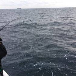 ＴＡＲＯＭＡＲＵ 釣果