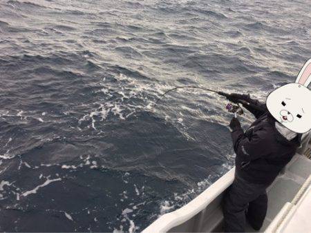 ＴＡＲＯＭＡＲＵ 釣果