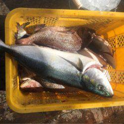 釣り堀水宝 釣果