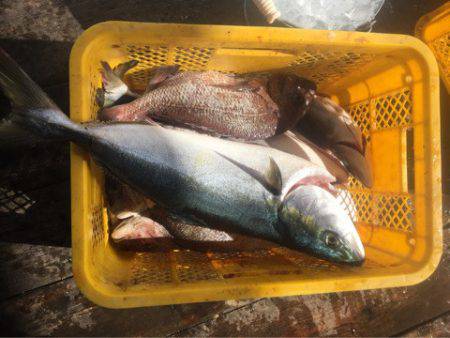 釣り堀水宝 釣果