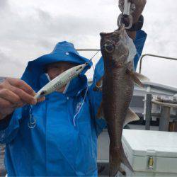 ＴＡＲＯＭＡＲＵ 釣果