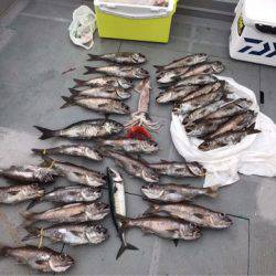 ＴＡＲＯＭＡＲＵ 釣果