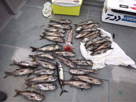 ＴＡＲＯＭＡＲＵ 釣果