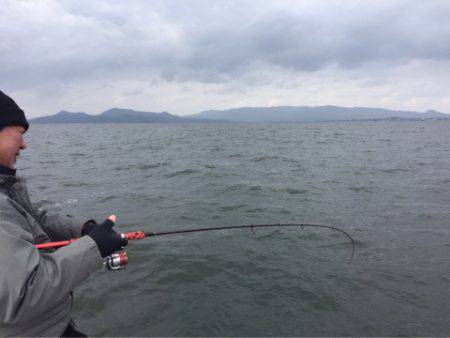 アマテラス 釣果