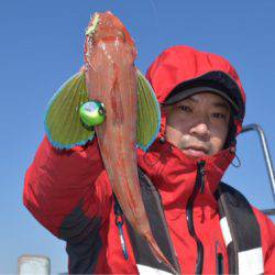 渡船屋たにぐち 釣果