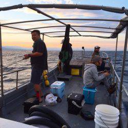 第二 海洋丸 釣果