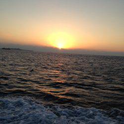 じゅん栄丸 釣果